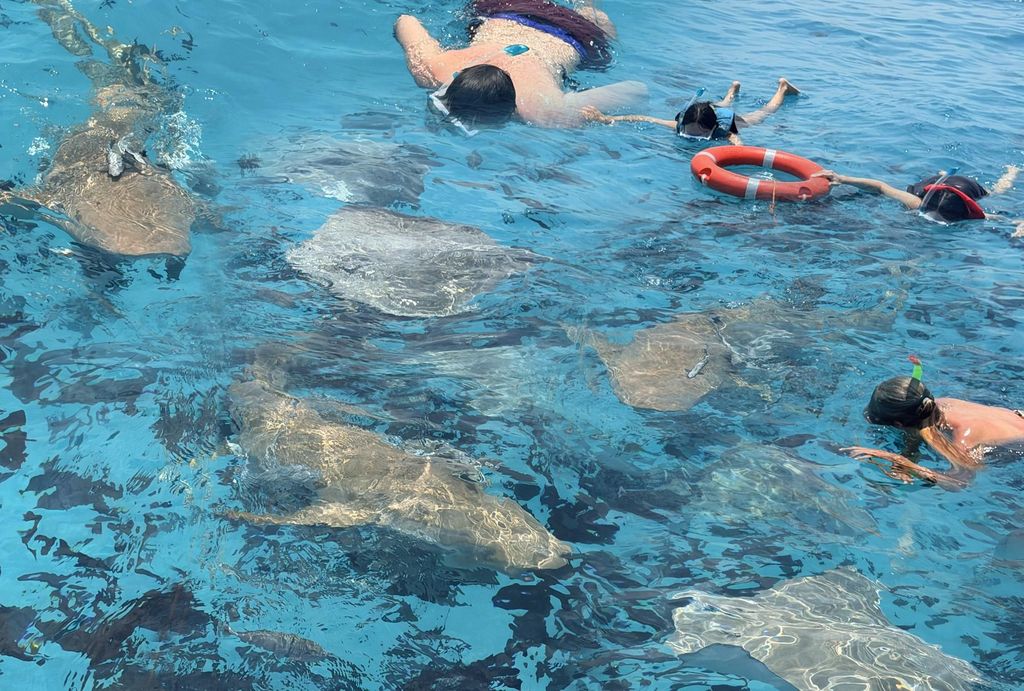 Malediven: Schnorcheln mit Ammenhaien, Korallenriff, Sandbank