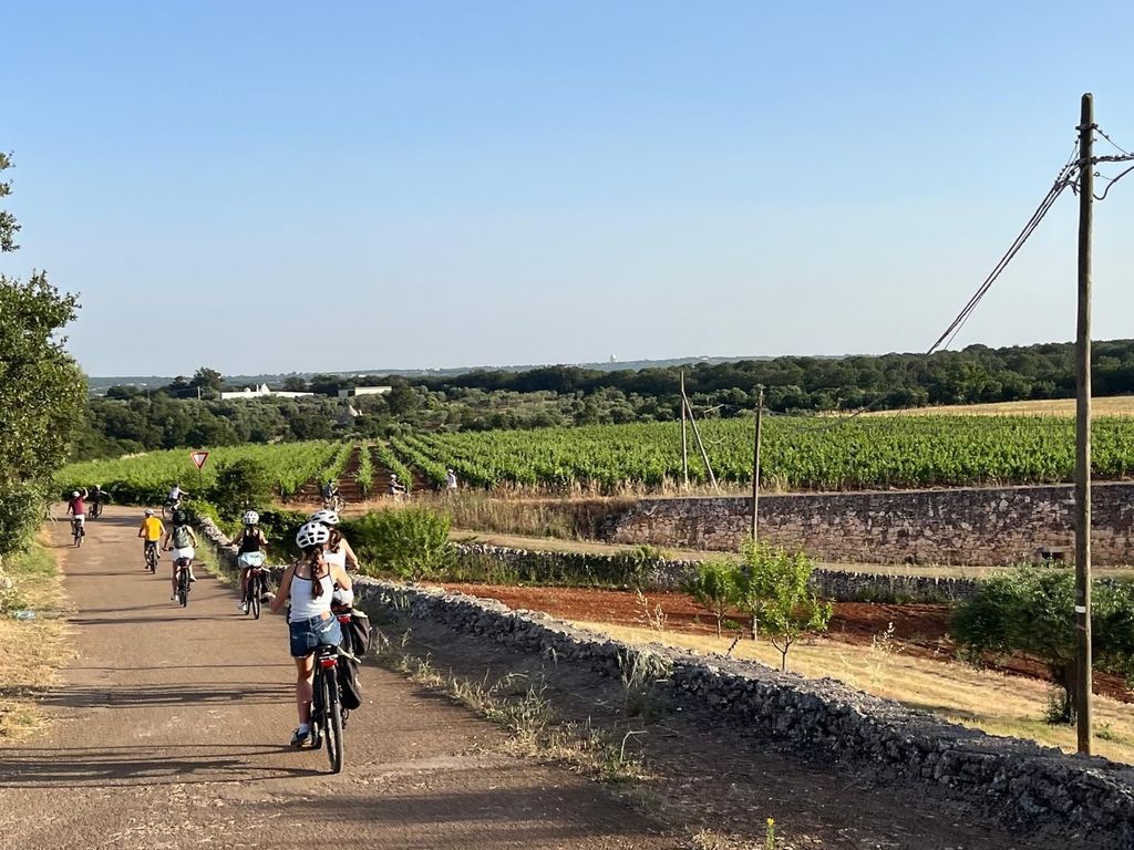 Locorotondo: Geführte E-Bike-Tour nach Alberobello + Gelato