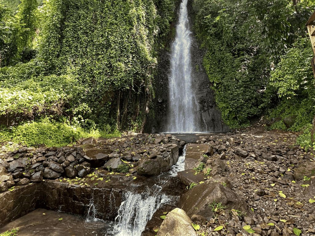 Kingstown: Cascading Dark View Falls und Beach Tour