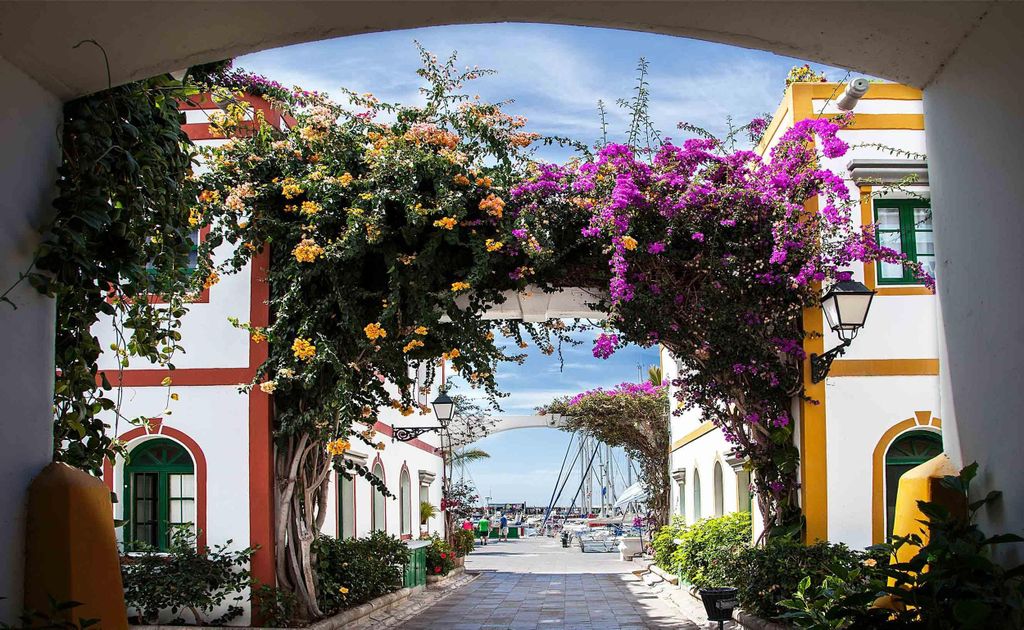 Das Wichtigste im Süden von Gran Canaria