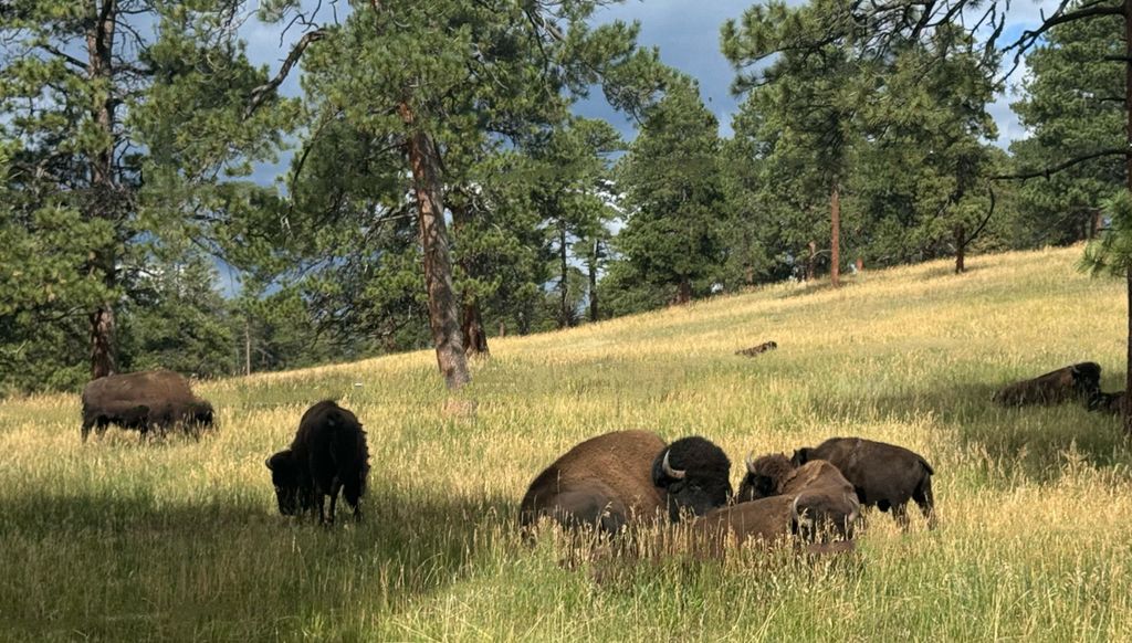 Denver: City-Highlights, Golden und Lookout Mountain