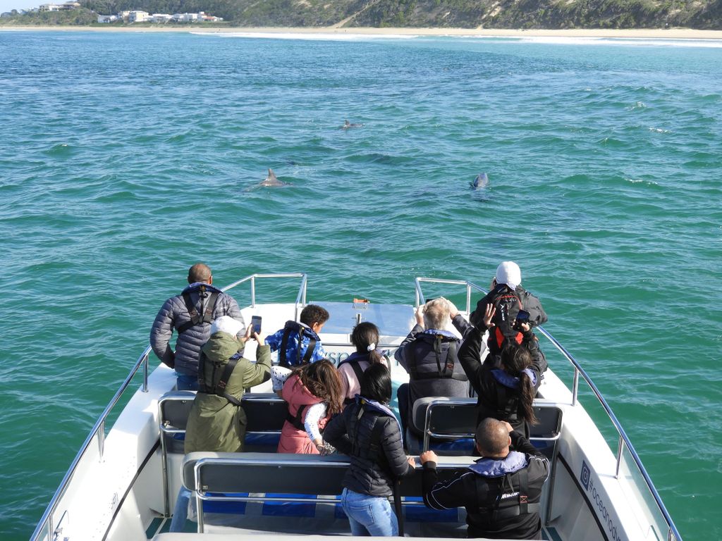 Knysna: Marine Life & Garden Route Coastline Tour