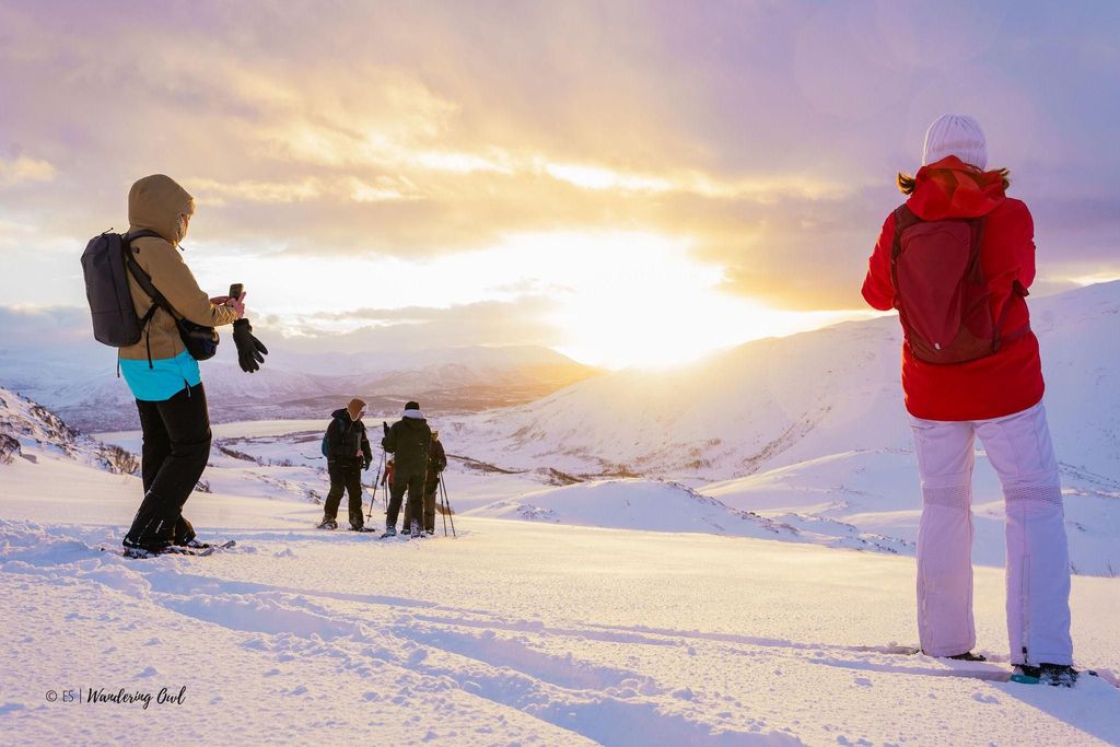 Von Tromsø: Schneeschuhwanderung mit Picknick-Mittagessen und Fotos