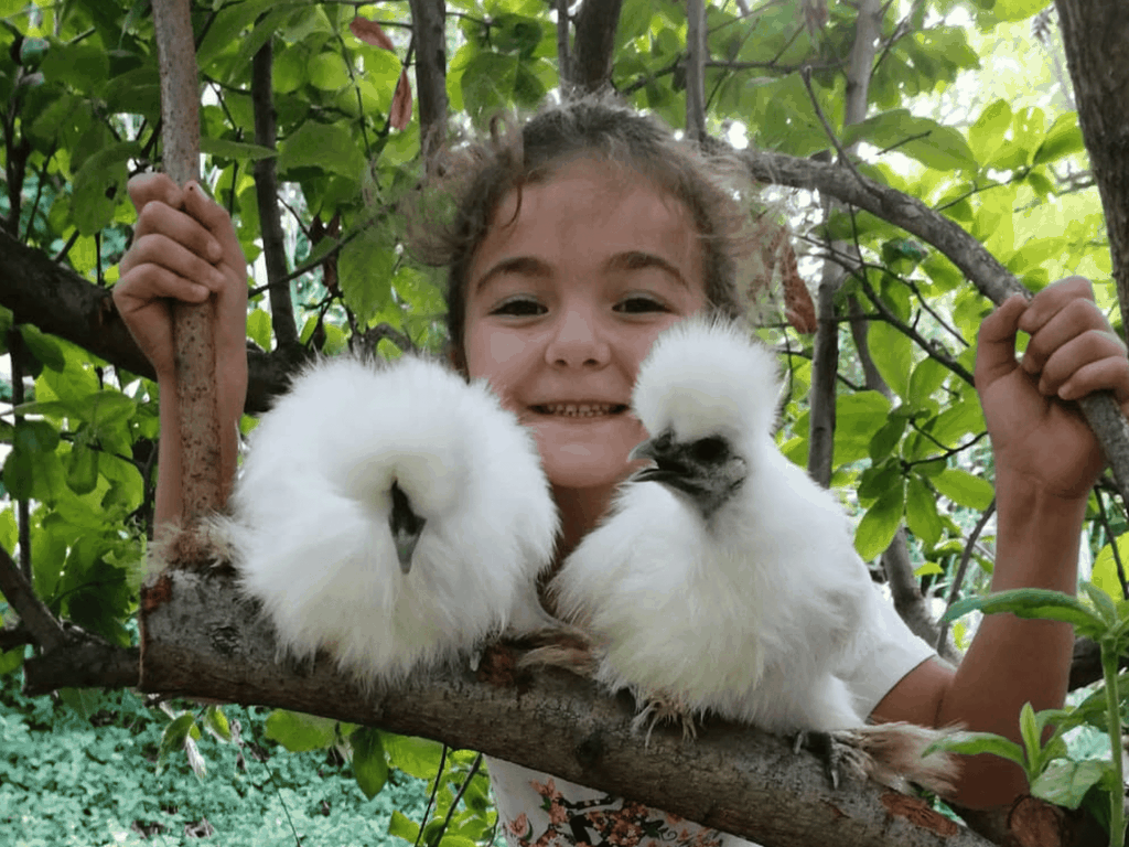 Natur zum Anfassen: Tiere und Wildkräuter auf einem Bauernhof in Pesaro