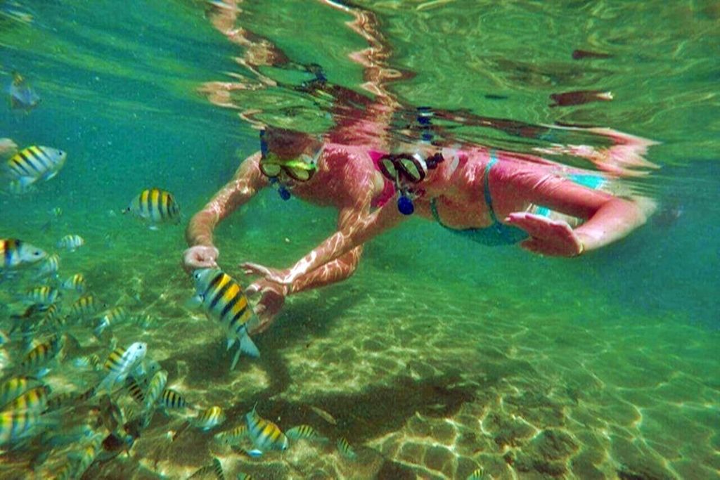 Von Salvador aus: Praia do Forte und Guarajuba Strand Tagesausflug