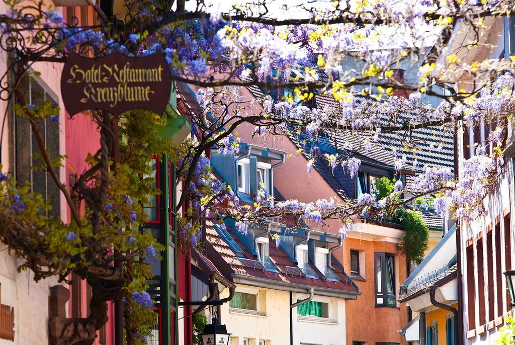 Freiburg: Gässle, Bächle und mehr – Städtetour
