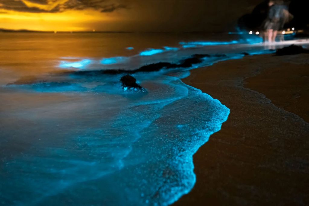 Phuket: Bioluminiszierendes Plankton und Seekanus in der Phang Nga Bay