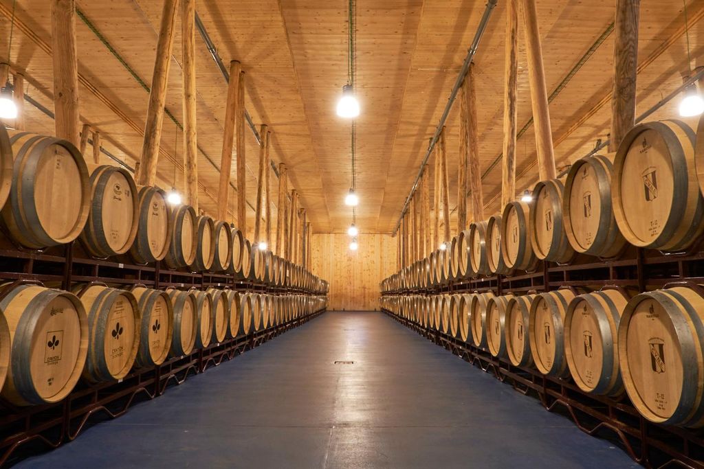 Burgos: Bodega Bela - Villalba de Duero