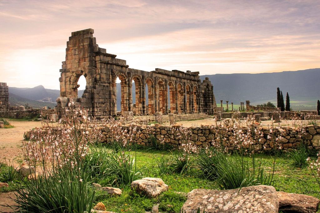 Volubilis Moulay Idriss und Meknes Tagestour mit Kleingruppe