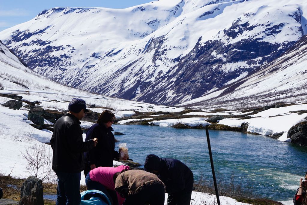 Geiranger: Private Tagestour nach Briksdal mit Fjorden & Landschaft
