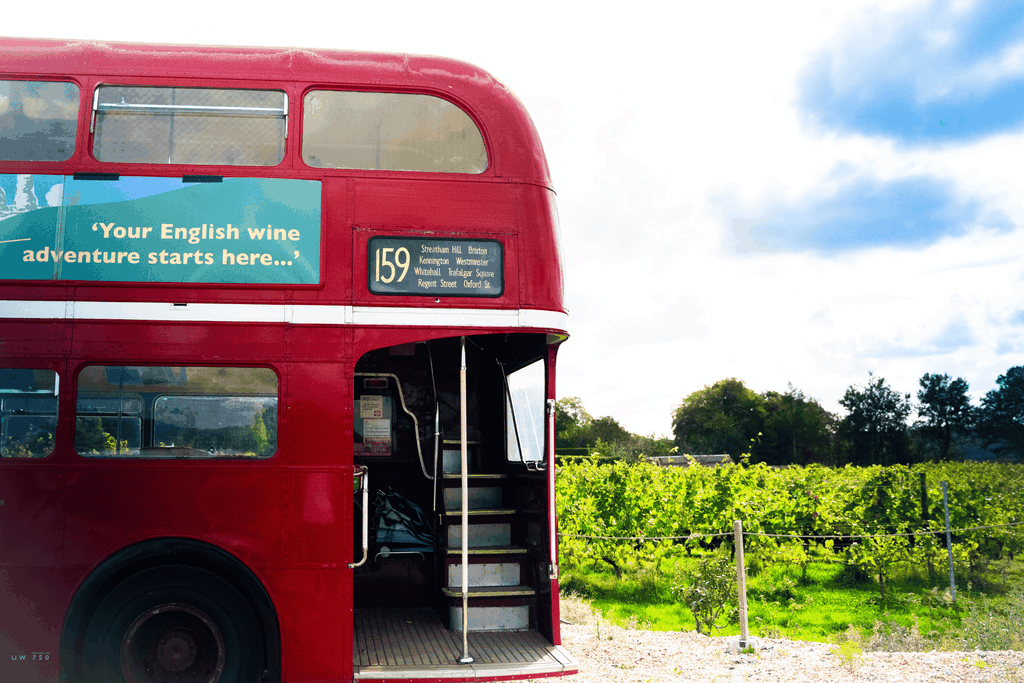 Von Brighton aus: Sussex-Weintour im Oldtimer-Bus mit Mittagessen