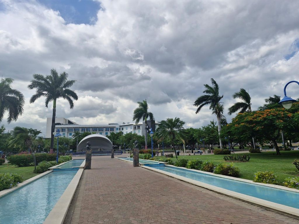 Kingston wie ein Local – Die authentische City-Tour!