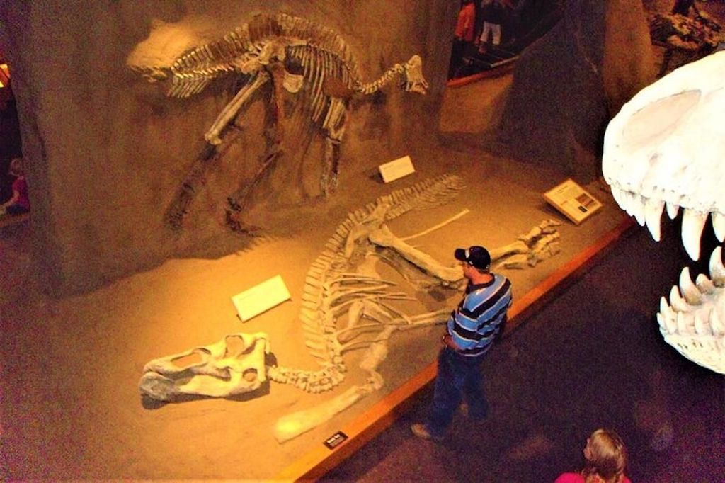 Tag der Dinosaurier und Hoodoos: Von Calgary in die Badlands
