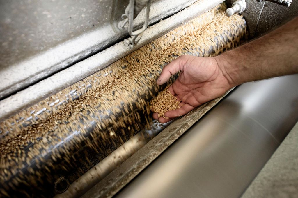 Tradition und Geschmack: Führung durch die historische Mühle von Caltagirone