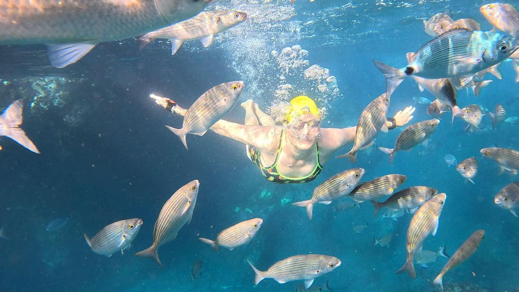 Madeira: Garajau Nature Reserve Swim Tour