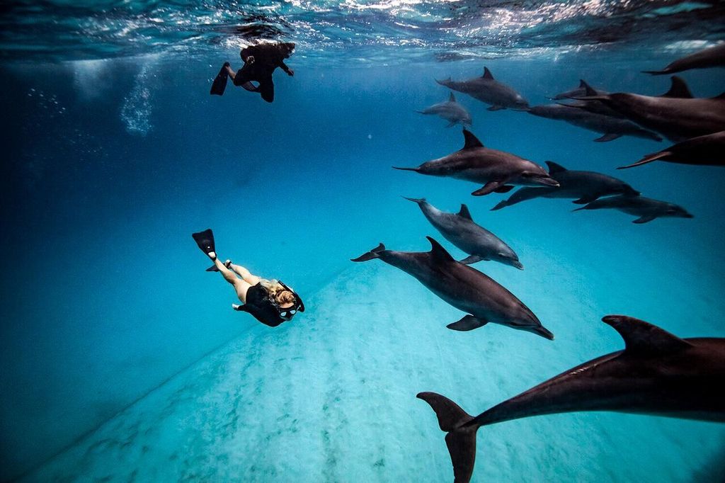 Sansibar: Delfinschwimmen und Schnorcheln in Mnemba – Bootstagestour