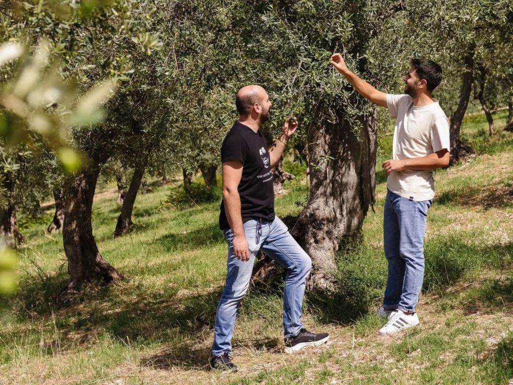 Olivenmühle: Tour mit Verkostung in der Nähe von Spoleto & Foligno