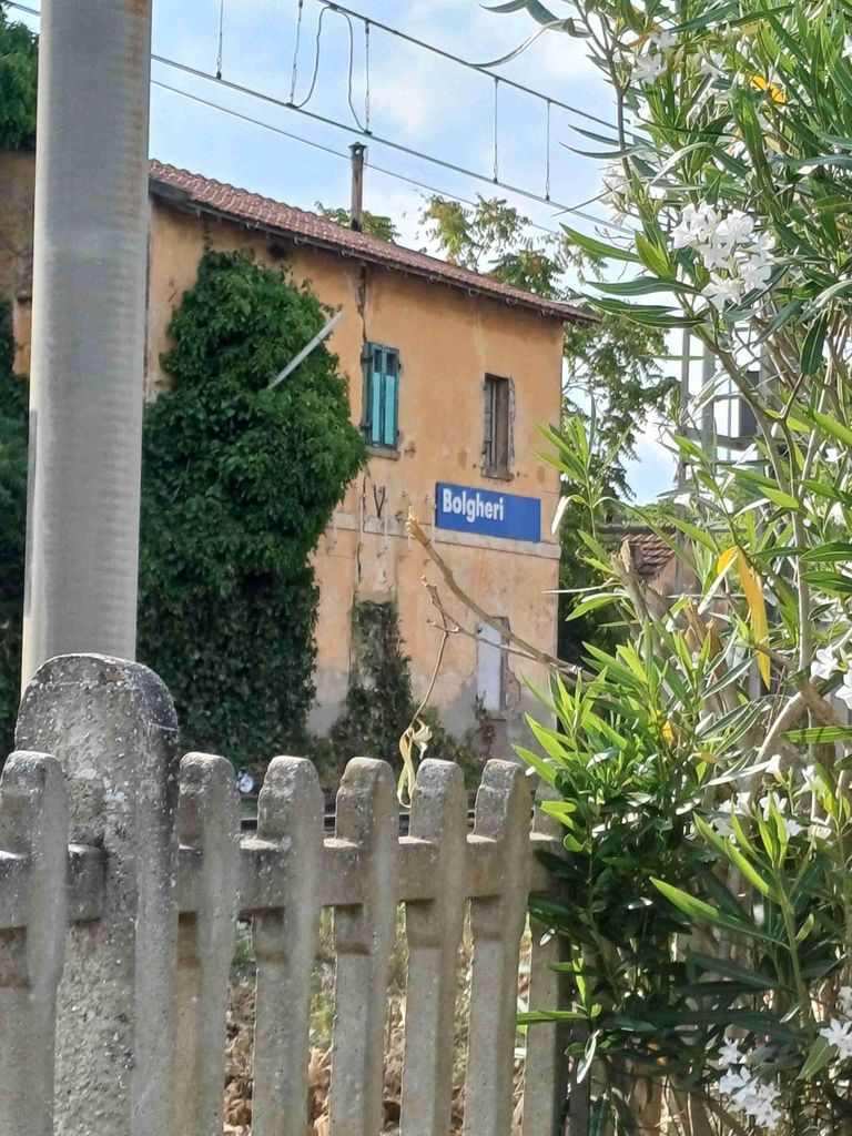 Bolgheri: E-Bike-Tour im Pinienwald von Bibbona, dann Bolgheri und Castagneto C.