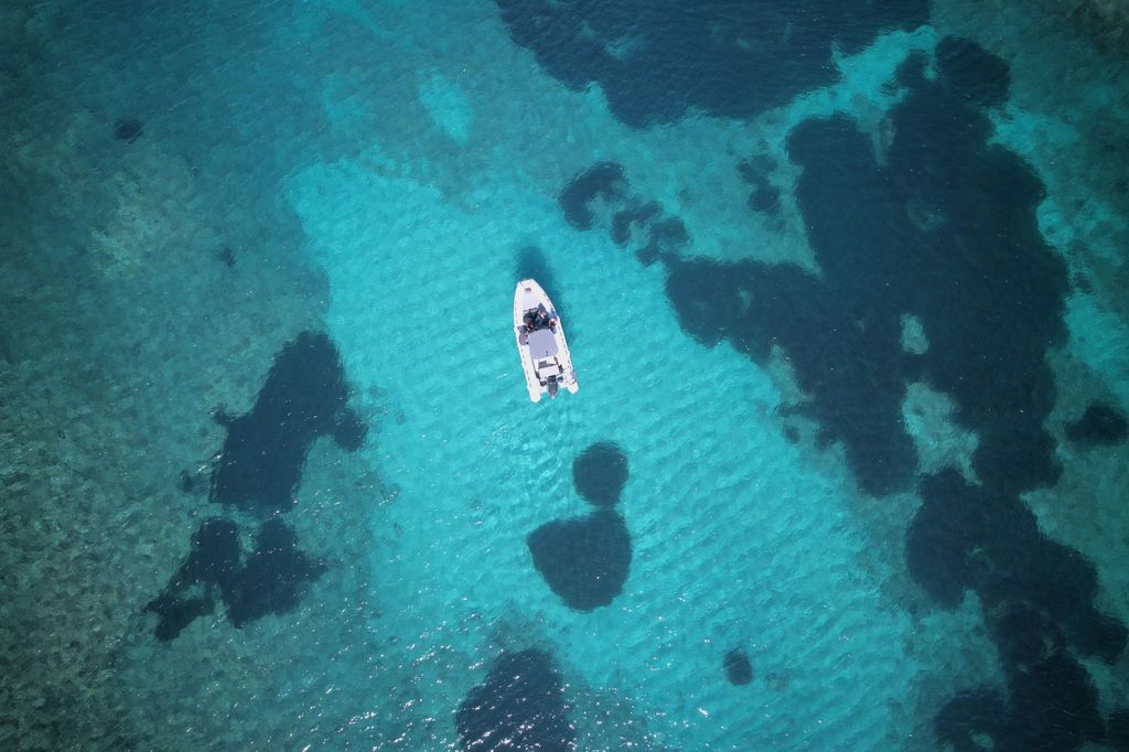 Alghero: Bootstour und Schnorcheln mit Aperitif Porto Conte