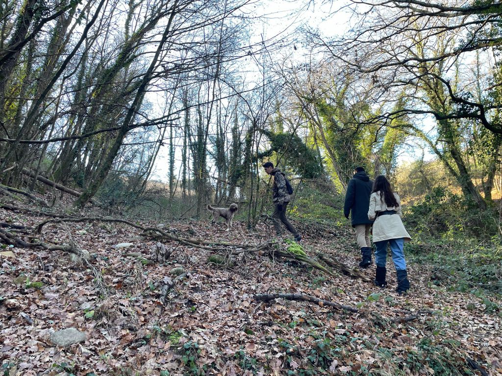 Trüffelsuche im Chianti mit Pasta-Kochkurs & Mittagessen