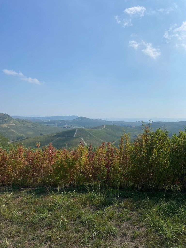 E-Bike-Tour Langhe & Roero