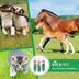 Vita pro GmbH - Produzent und Vertrieb von Tiernahrungsergänzungsmittel