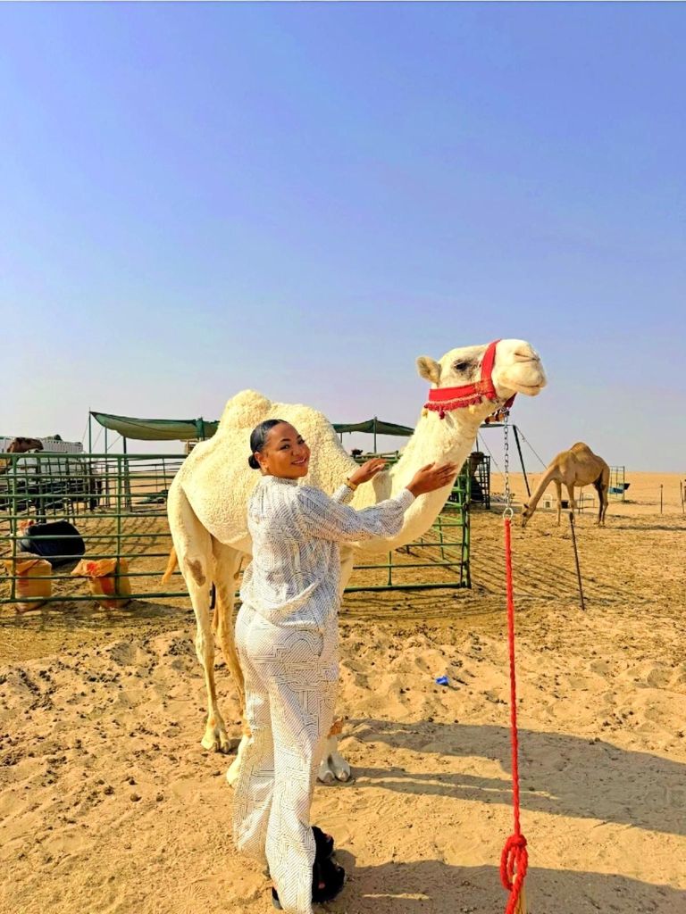 Tagestouren in Kuwait-Stadt & Wüste mit Pick-up & Drop-off