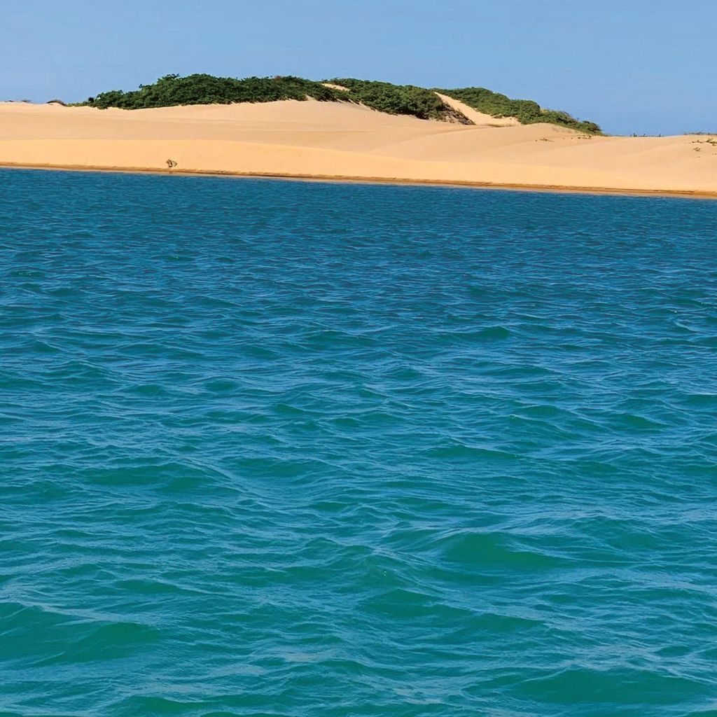 Ausflug zur Mündung des São Francisco