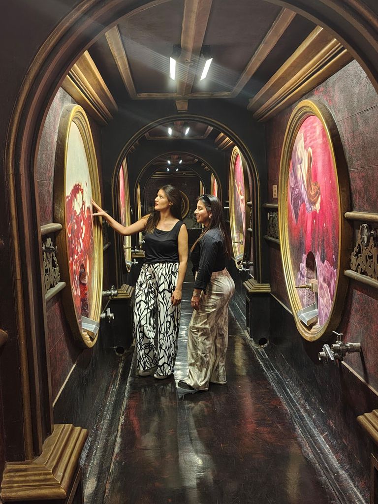 Mendoza - Maipú: Premium-Weingut + Olivenöl-Tour im privaten Service