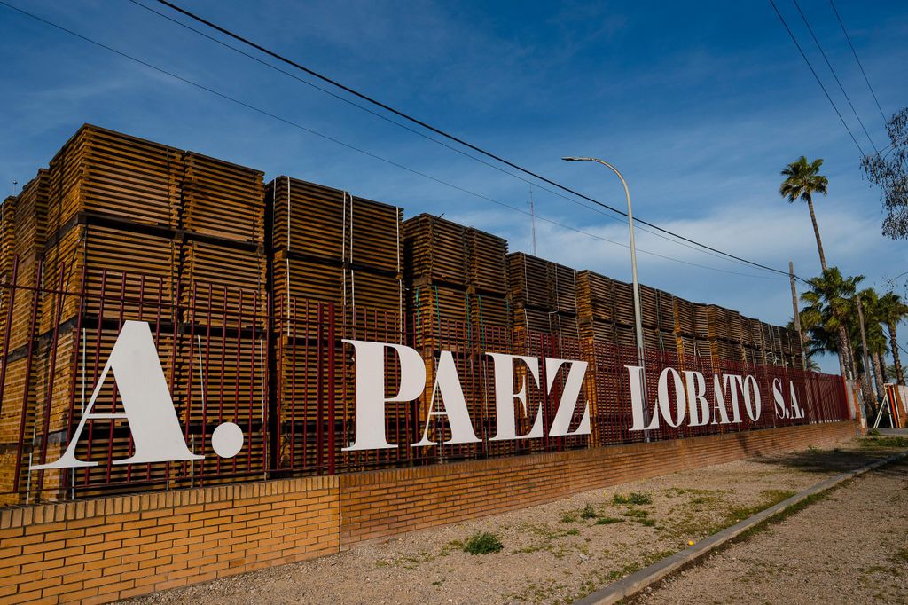 JEREZ DE LA FRONTERA: FÜHRUNG DURCH DIE KÜFEREI