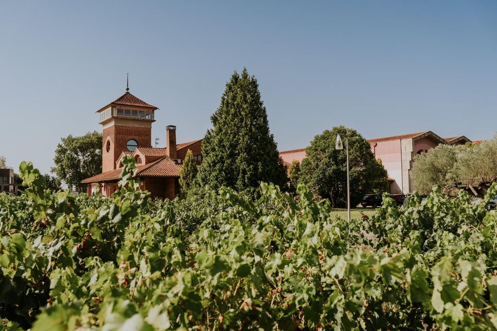 Logroño: Führung + Verkostung von 3 Weinen in Viña Ijalba