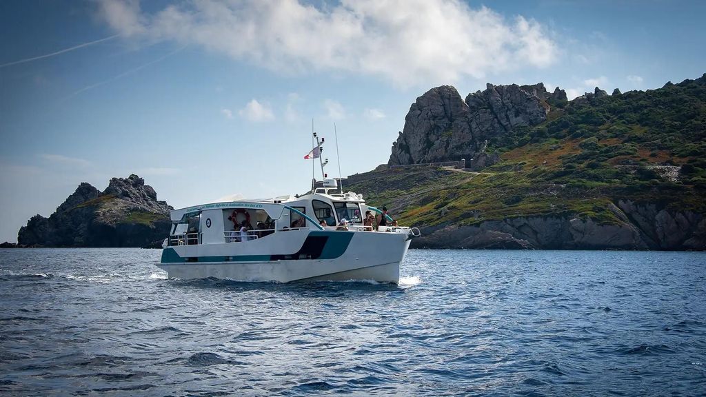 Bormes-les-Mimosas: Hybrid-Bootsausflug zur Insel Porquerolles