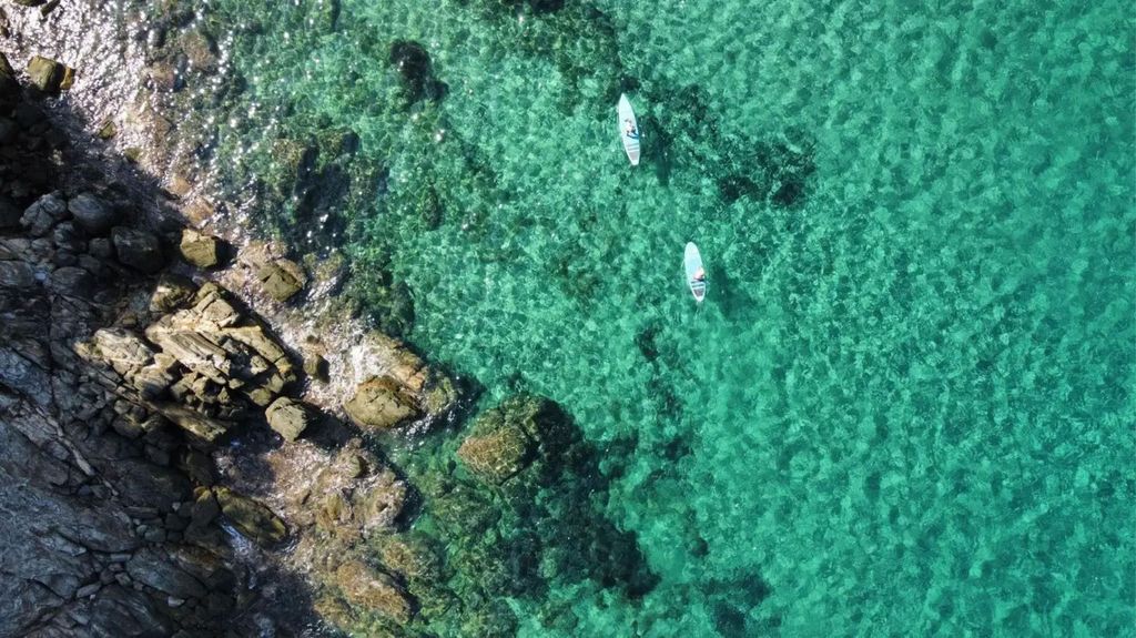 Jachthafen Marciana: Geführte Stand-Up-Paddle-Entdeckung