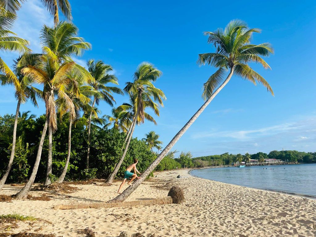 Entdeckungsfahrt Grand Sud Martinique