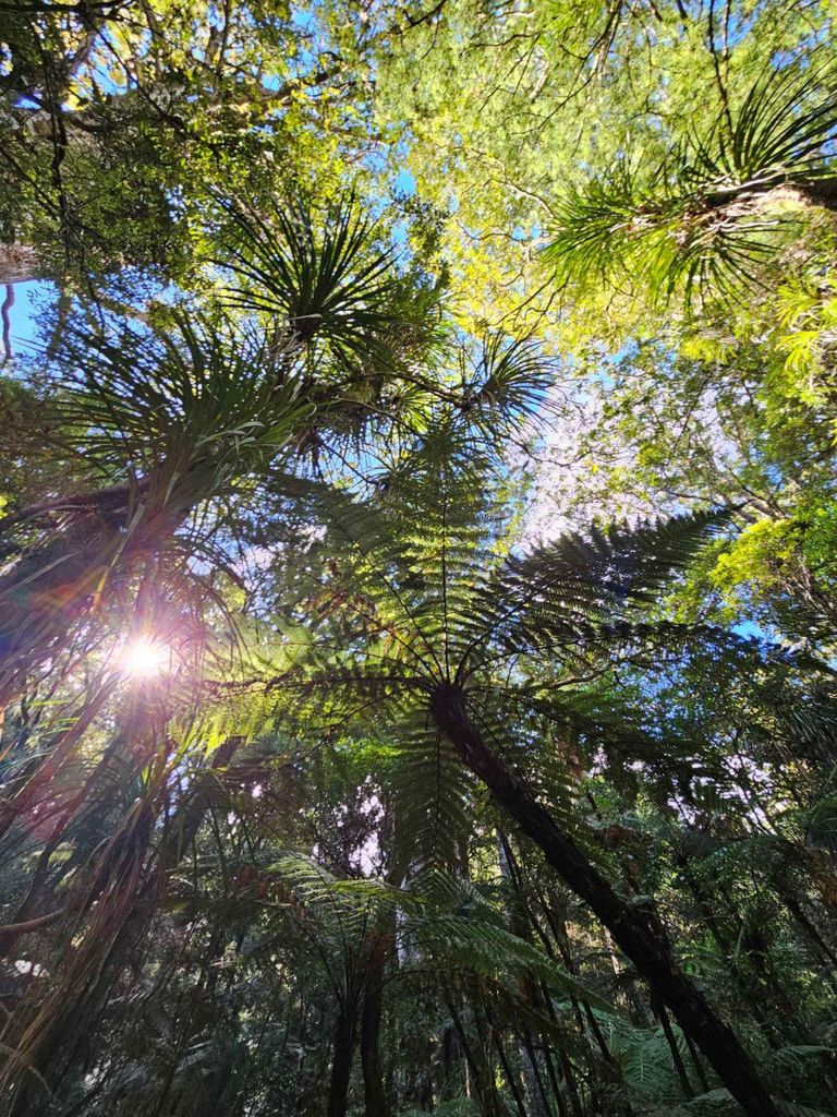 *Beliebte Tour* – Bay of Islands: Natur-Abenteuertour