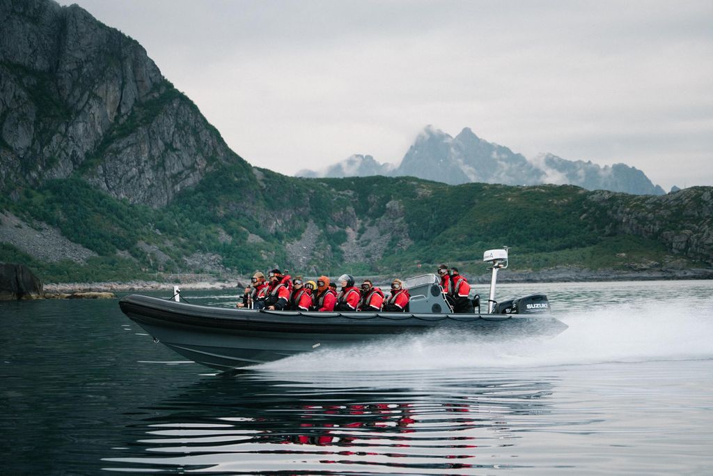 Von Svolvær: RIB-Boot Lofoten Trollfjord Seeadler-Safari