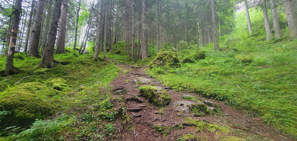 Lauterbrunnen: Private Wandertour mit einem irischen Guide