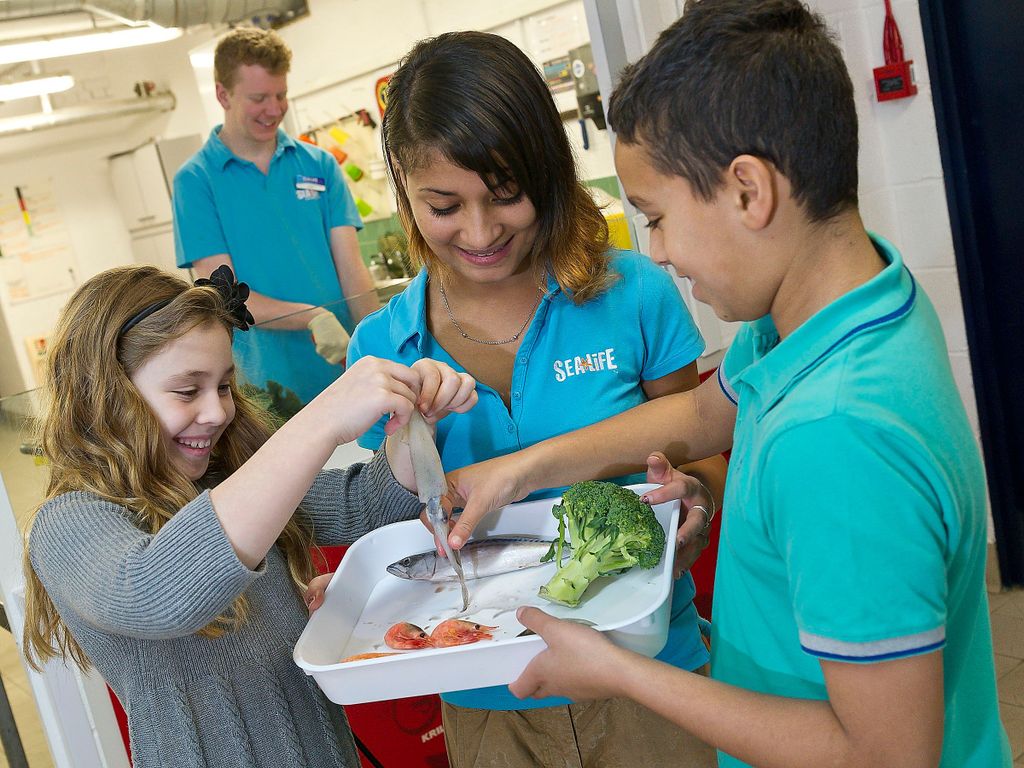 Oberhausen: SEA LIFE Ticket und Tour hinter die Kulissen