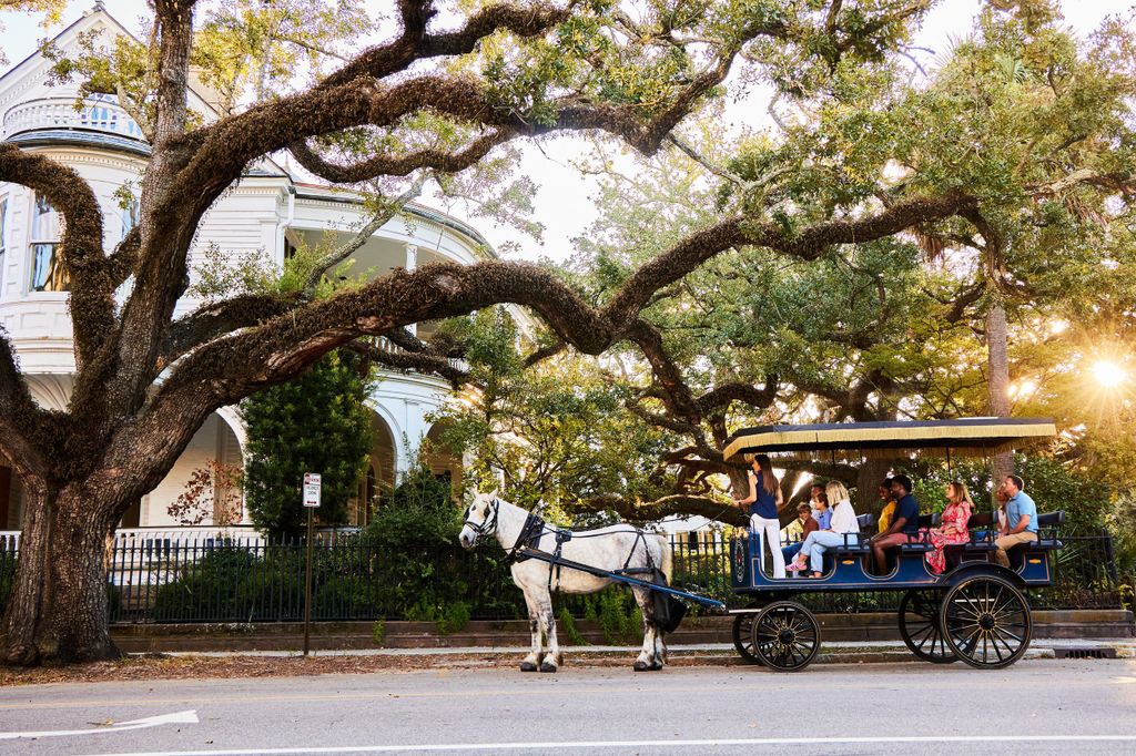 Charleston: Downtown Horse-Drawn Carriage Tour