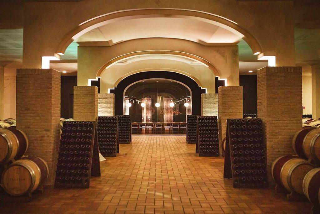 FAMIGLIA COTARELLA, NAHE ORVIETO WEINPROBE UND BESICHTIGUNG