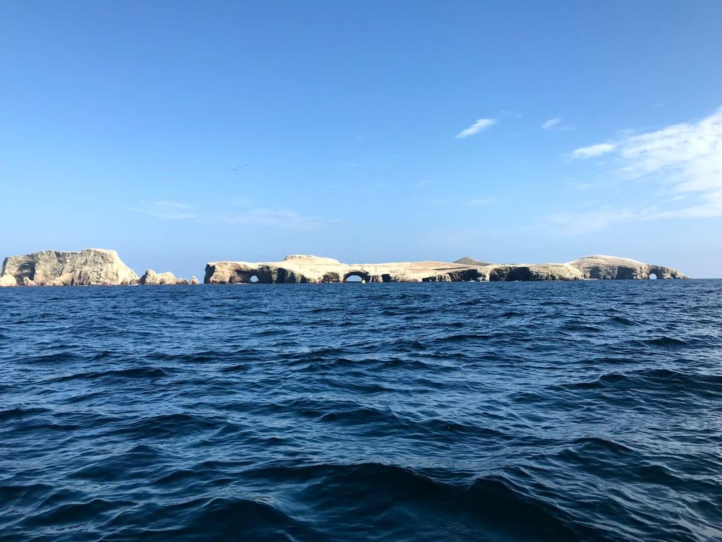 Ica: Ballestas Insel & Paracas Reservat Private Tour