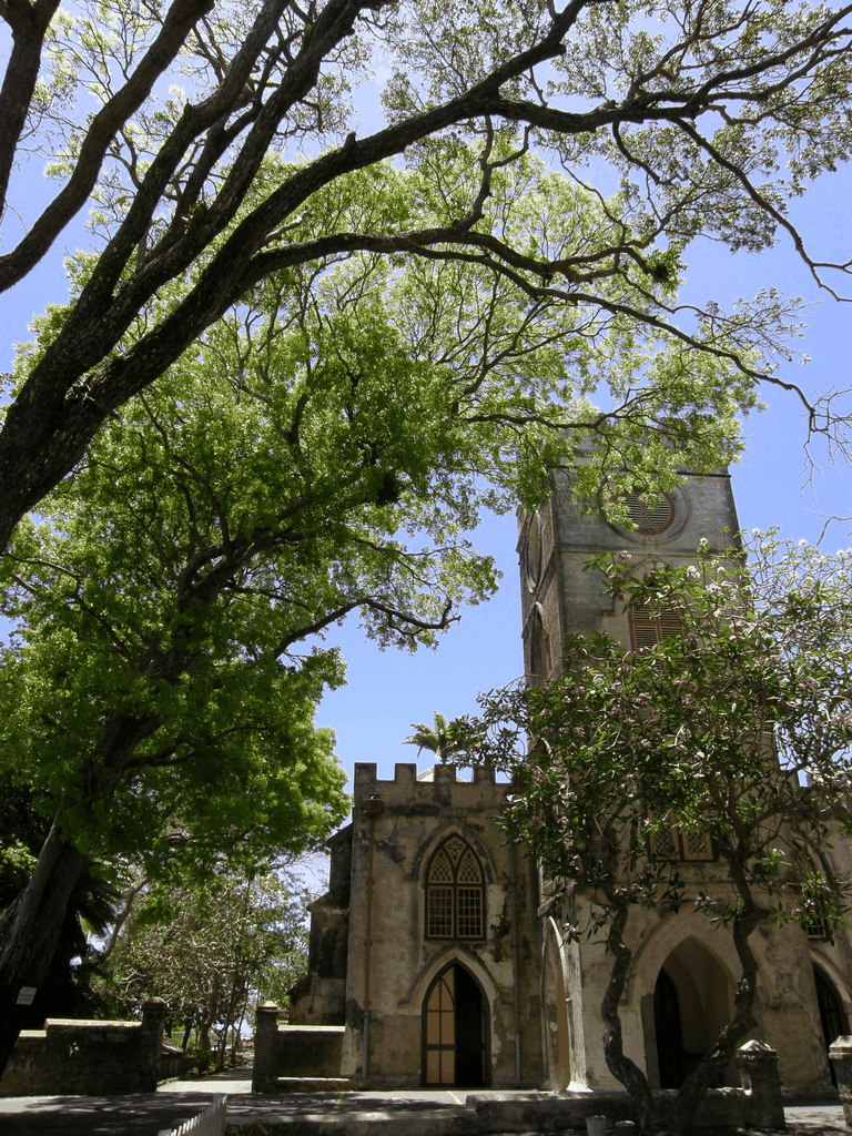 Barbados Bajan Paradise: Tagesausflug