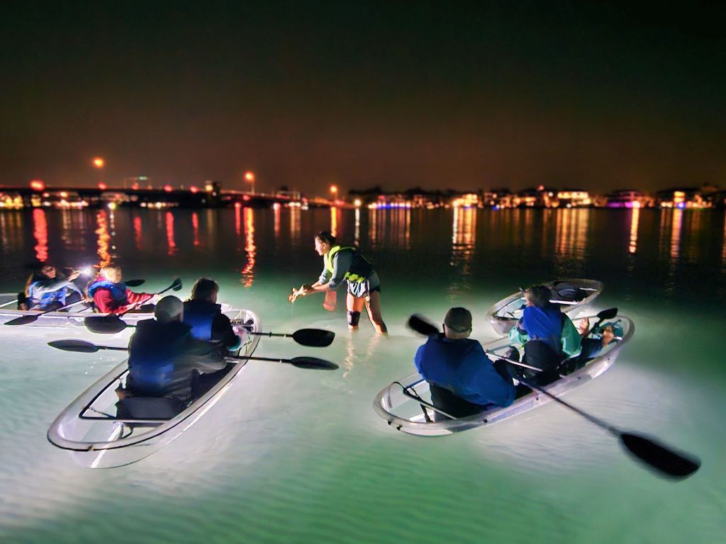 Longboat Key: nächtliche Tour im durchsichtigen Kajak mit LED-Beleuchtung, Sarasota