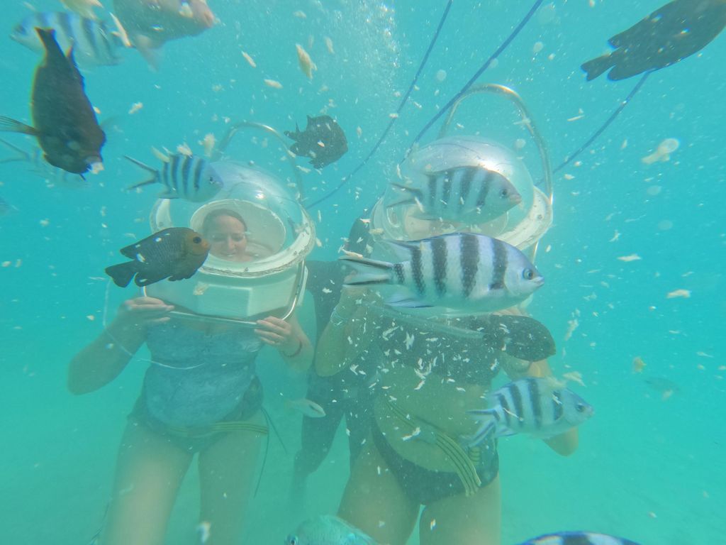 Unterwasserspaziergang & Strände im Norden mit Transport