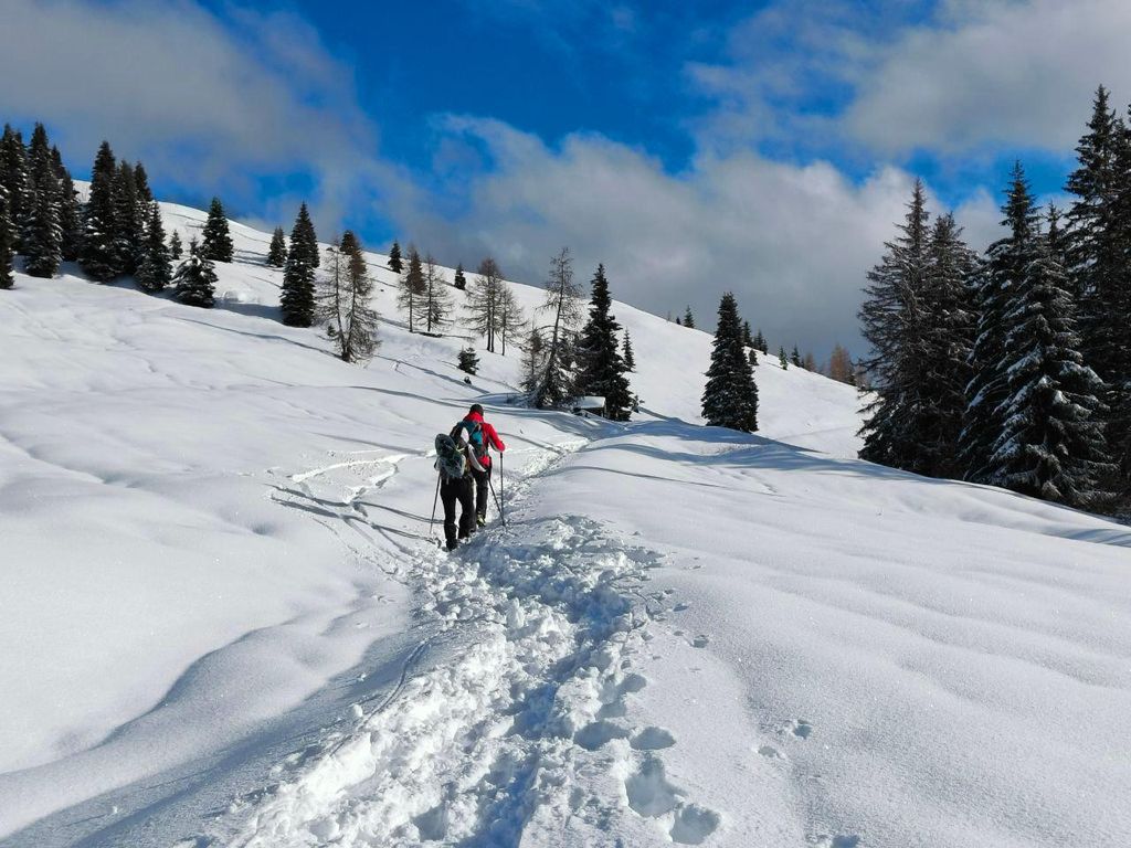 Geführte Schneeschuhwanderung in den östlichen Dolomiten