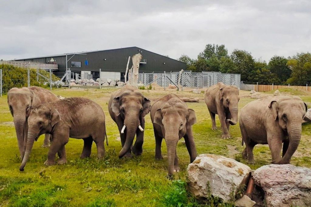 Blackpool: Ticket für den Zoo