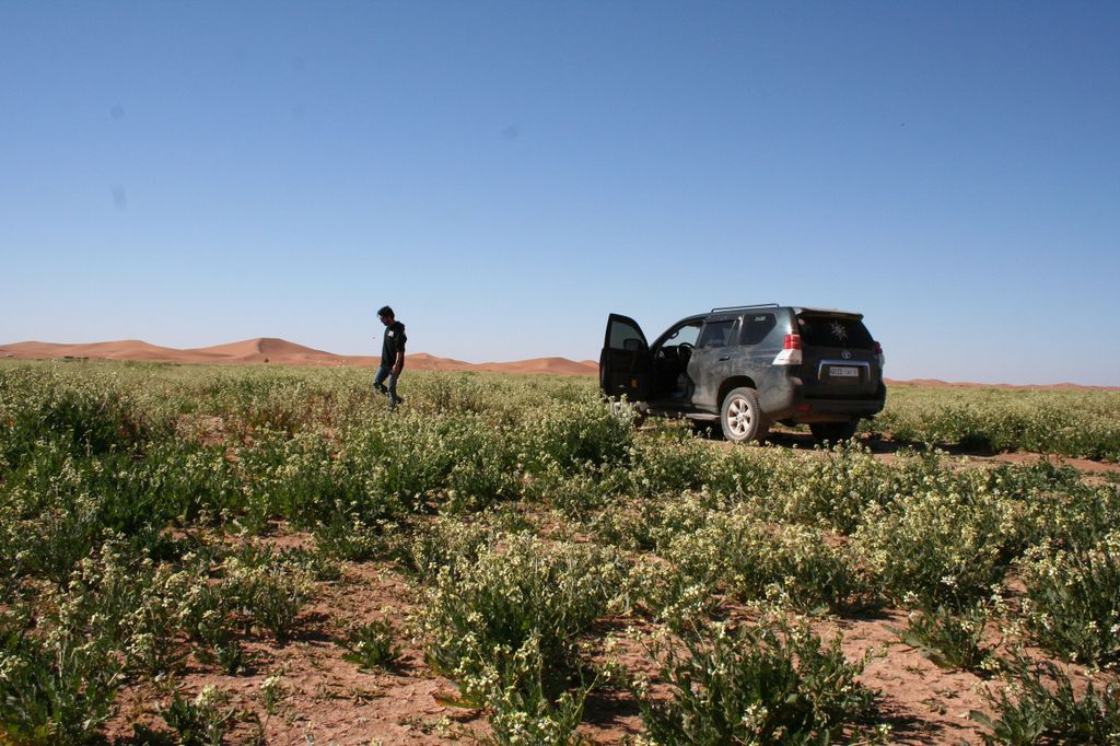 Von Agadir 4 Tage 3 Nächte Sahara Tour nach Marrakeche