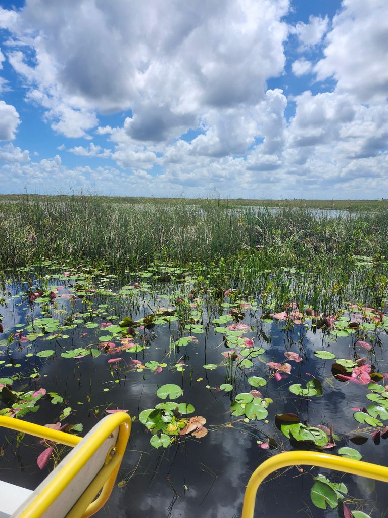 Everglades: Öko-Airboat-Abenteuer mit Luxus-Transport
