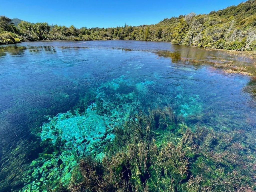 Nelson: Golden Bay in einer Tagestour