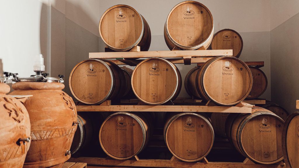 Greve in Chianti: Tour und Verkostung von Bio-Chianti Classico und toskanischen Snacks